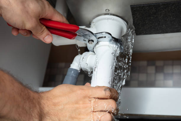 Best Flooded house restoration  in Loyal, WI
