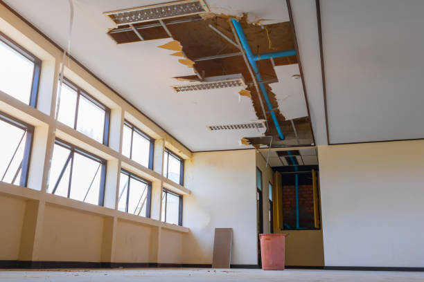 Best Water damage contractors near me  in Loyal, WI