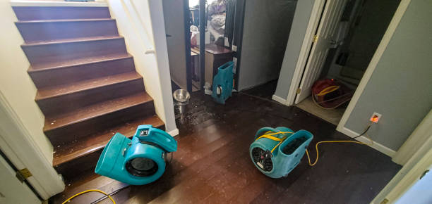 Best Water damage contractors near me  in Loyal, WI