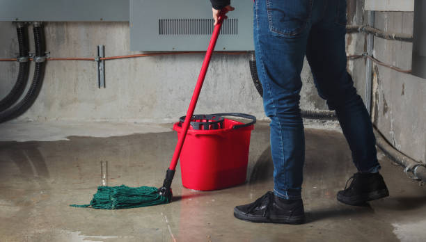 Best Fire Damage Restoration  in Loyal, WI