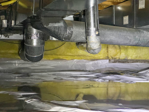 Best Flood damage cleanup  in Loyal, WI