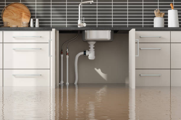 Best Sewage cleanup and water damage restoration  in Loyal, WI