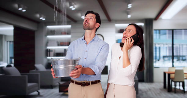 Best 24/7 water damage repair  in Loyal, WI
